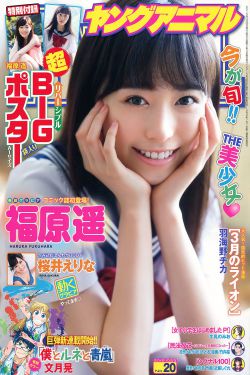 红剑电视剧